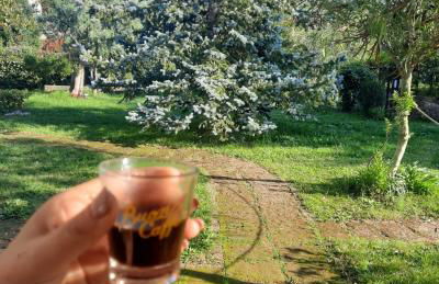 Casetta in Collina - Foto 15