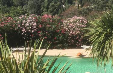 Villa Nassalia - Foto 3