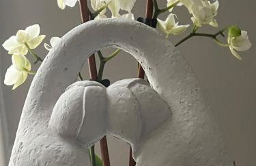 Sir Happy's Place - Foto 12