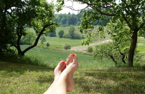 Podere Sionne - Foto 53