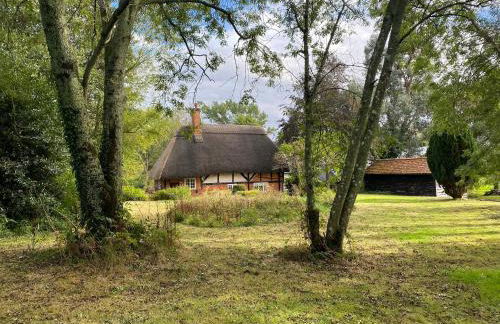 Dairy Farm - Foto 30