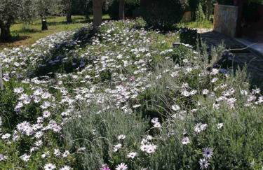 Monica's Country House - Foto 43