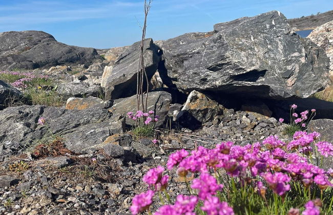 4 Person Holiday Home in Karna - Foto 21