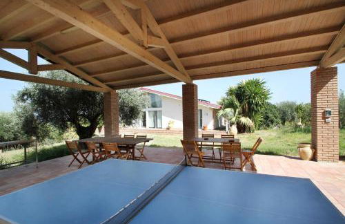 La Gabbianella E Il Gatto - Foto 18