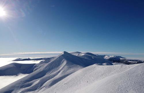 Les Marmottes de Murol - Foto 1