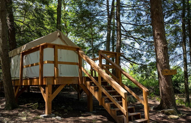 Blue Mountain Resort - Foto 7