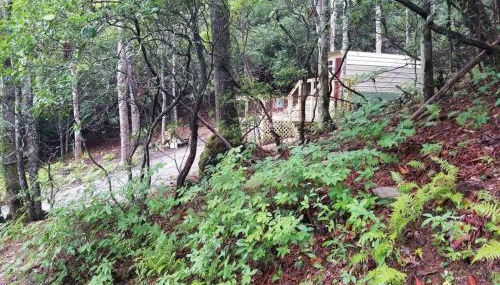 Yogi House Meditation Retreat - Foto 4