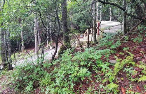 Yogi House Meditation Retreat - Foto 4