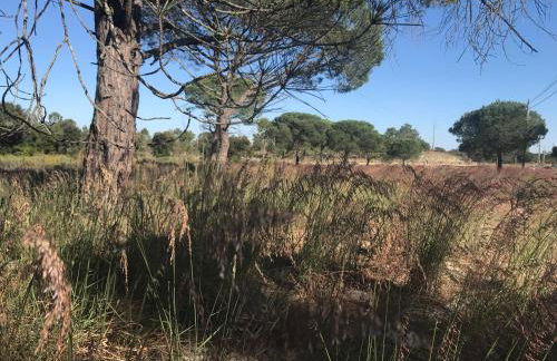 Alcacer River Apartment - Foto 54