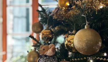 Gîte Champagne Havre de Paix pour 4 Personnes au Cœur de la Forêt - Foto 3