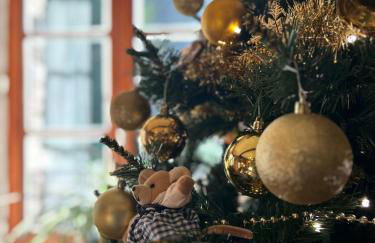 Gîte Champagne Havre de Paix pour 4 Personnes au Cœur de la Forêt - Foto 3