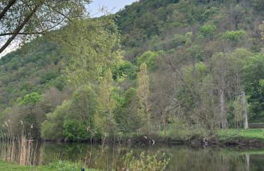 Homindays Terrace with Mountain Views River just Nearby - Foto 71