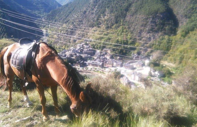 Paseo a caballo por los alrededores de Llavorsí - Photo 4