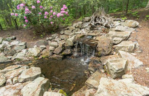 Iron Mountain Lodge - Beautiful Cabin With Forest & Mountain Views! - Photo 78