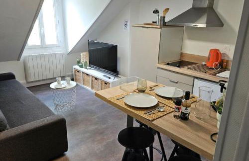 Lakanal 10 - Appart Prébendes Tours - Photo 15