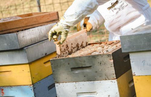 Agriturismo Mon Chéri - Foto 33