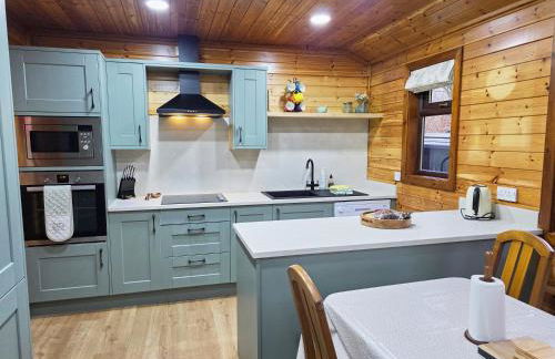 Luxury Wood Lodge with sauna, log burner & private woodland garden - Wnion Wood Lodge - Foto 29