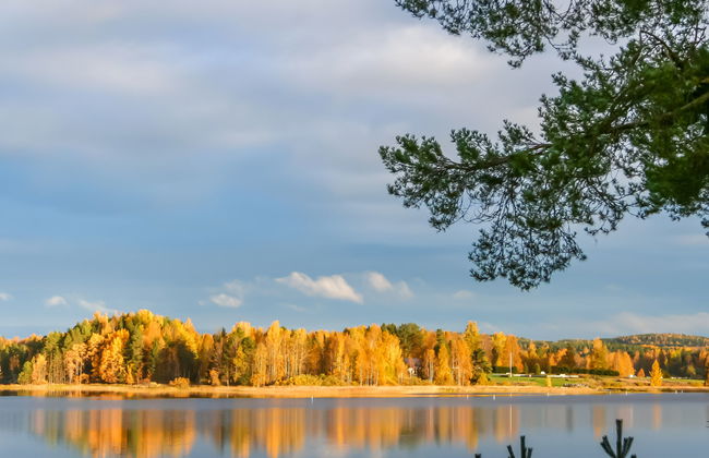 Riutankolo - Foto 21