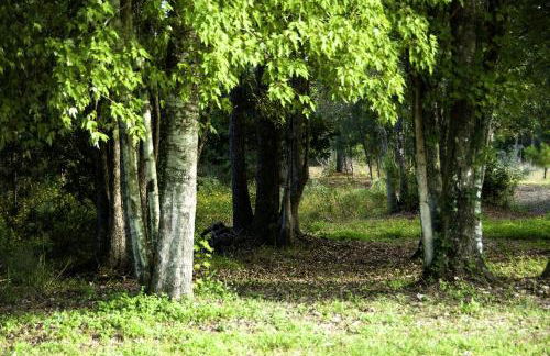 Historic One-Room Cabin near Ocala National Forest in Central Florida - Foto 6