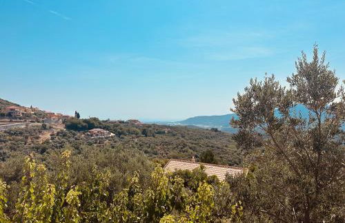 Vitis Verde - Foto 19