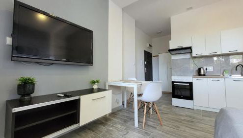 Apartamenty Parkowe nr 3 - Foto 4