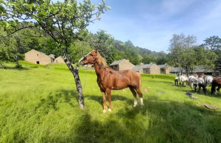 Les Hauts de Saint Privat - Foto 27