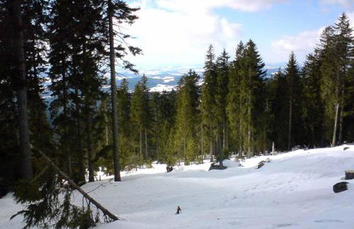 Ferienwohnung Pension Hauer Hof - Foto 16