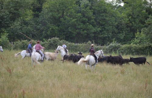 L'Espitalet - Foto 18