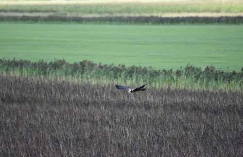 Annas-Huus - Photo 5