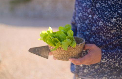 Agroturismo Llucmaçanes Gran - Foto 51