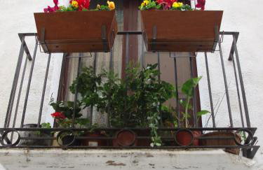 La Llicorella - Foto 10