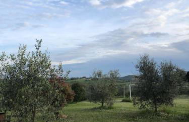 Depandance - Photo 12