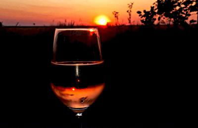 Polderhaus Deichblick direkt am Dullart - Foto 29