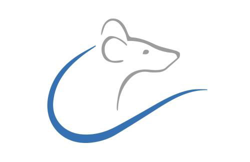 Ferienwohnung WESERRATTE - Foto 1