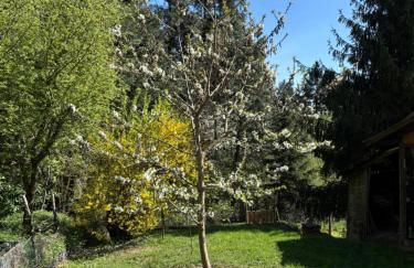 Rheingaulodge -Ihre Auszeit am Rheinsteig - Foto 15