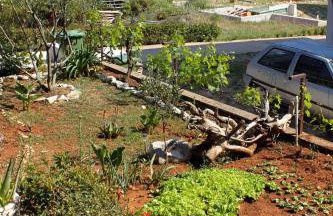 Apartments by the sea Brgulje, Molat - 6241 - Foto 7