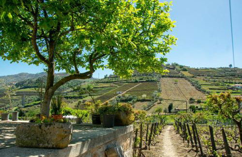 Cosy Historical House in Lamego - Quinta do Cabo - Foto 2