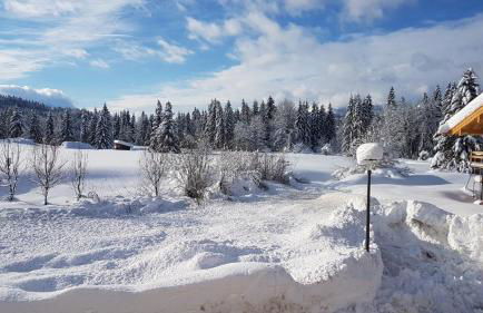 Chalet an der Lofer - Foto 1