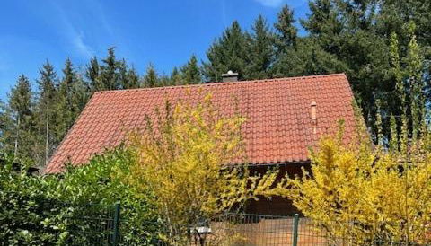 Ferienhaus Leonie, Holzhaus im Pfälzer Wald 76848 Hofstätten - Foto 2