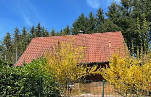 Ferienhaus Leonie, Holzhaus im Pfälzer Wald 76848 Hofstätten - Photo 2