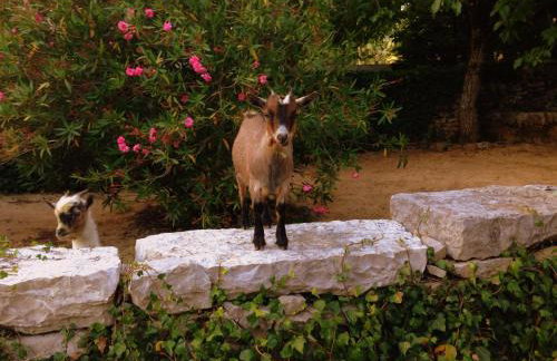 Otium Country House - Foto 157