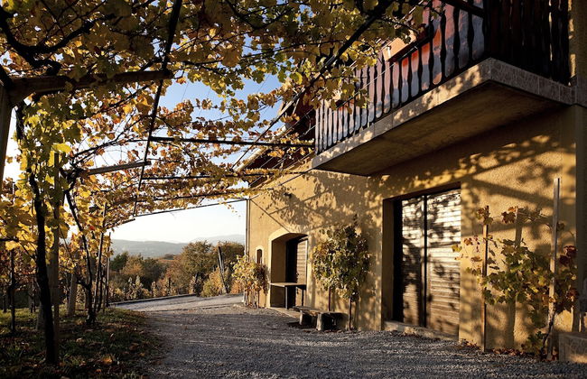 Vineyard Cottage Brodaric - Foto 17