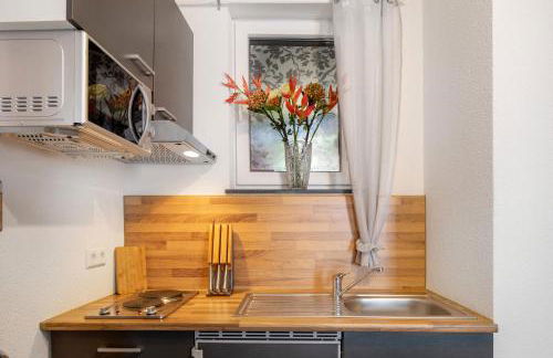 Ferienwohnungen Eulenspiegel - Foto 61