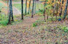 North Star Retreats - Foto 41