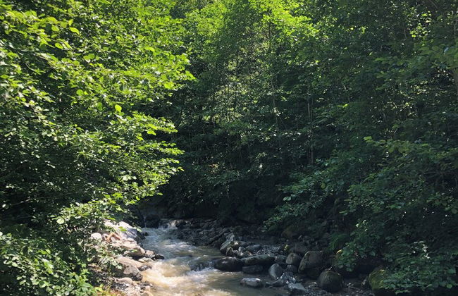 AYDER ÇALIKUŞU BUNGALOV - Foto 14