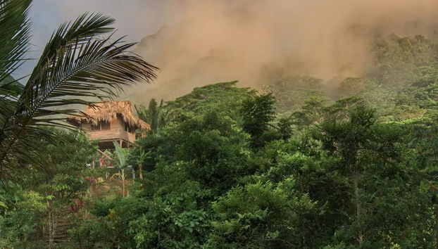 Taorayiná nature reserve - Foto 4, Habitación