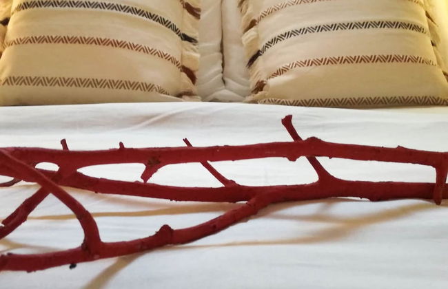 Villa Corallo - Photo 15