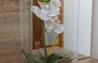 Fewo "Elsa" Reichmannsdorf - Brötchenservice - Foto 34