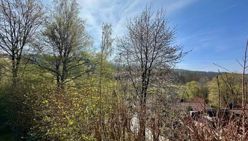 Natur Pur - Waldurlaub im Tiny House - Photo 5