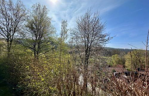 Natur Pur - Waldurlaub im Tiny House - Photo 5